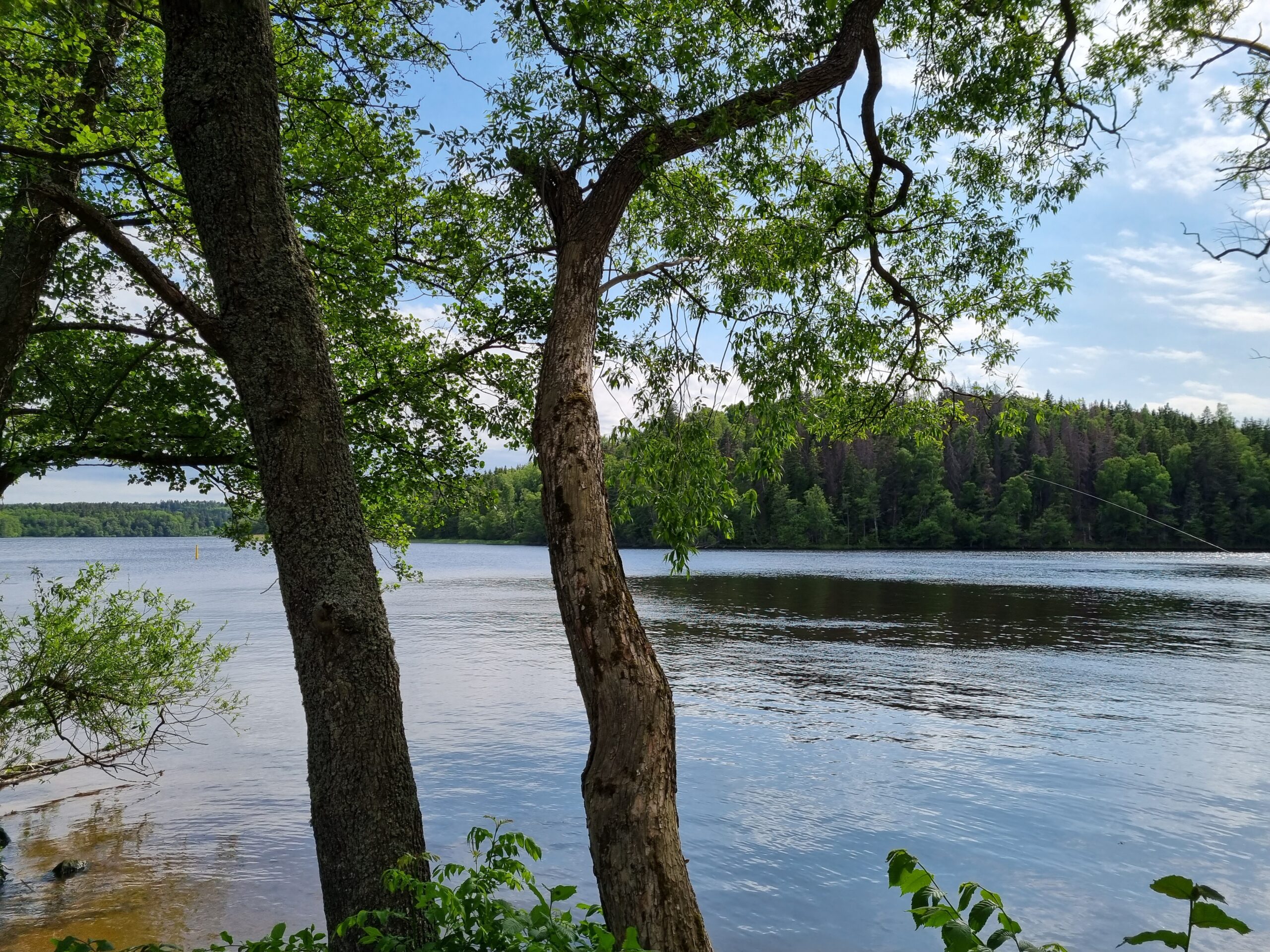 Fiskeutflykt till Kairo i Upplands Väsby kommun