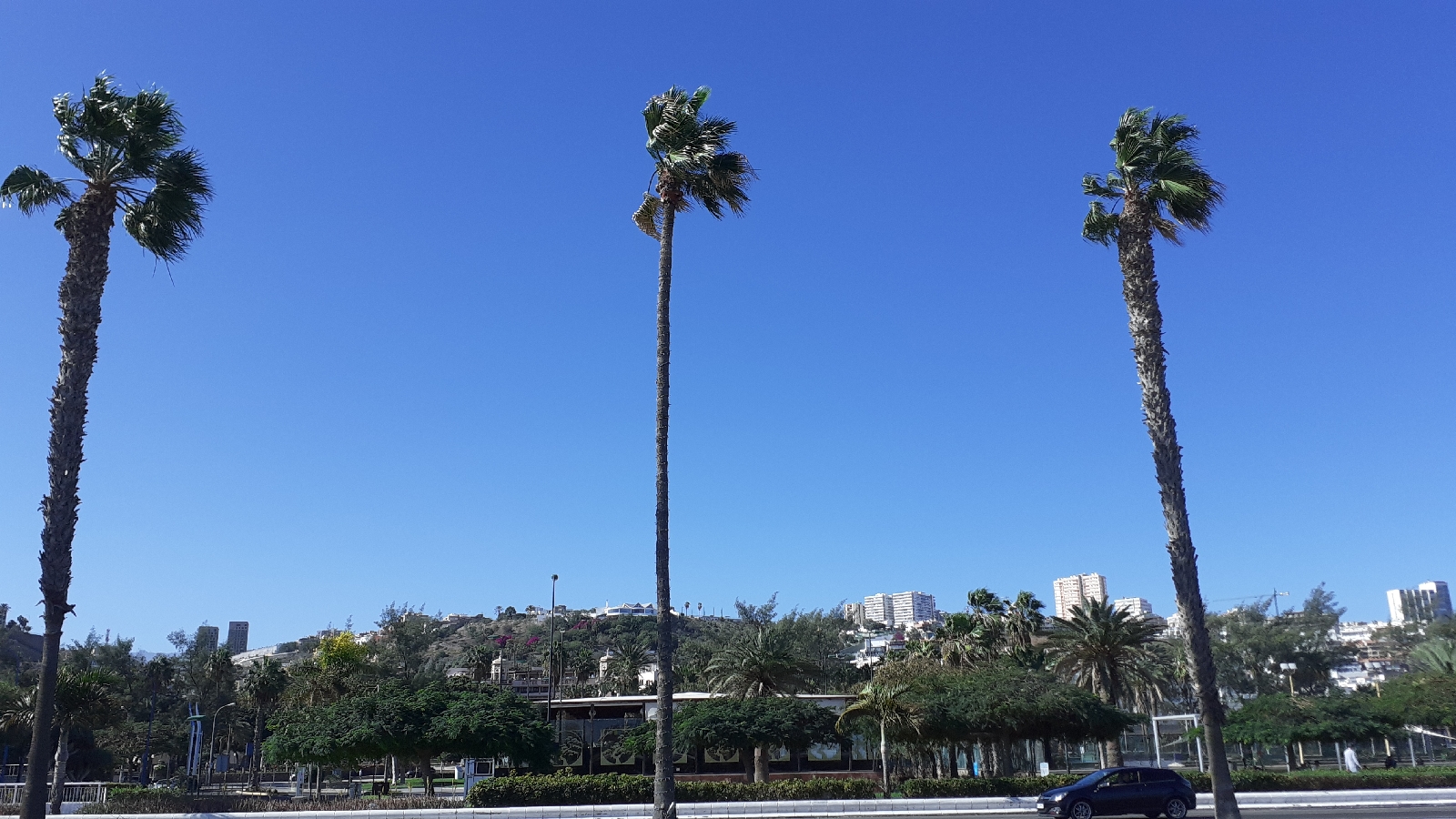 Gran Canaria januari 2024