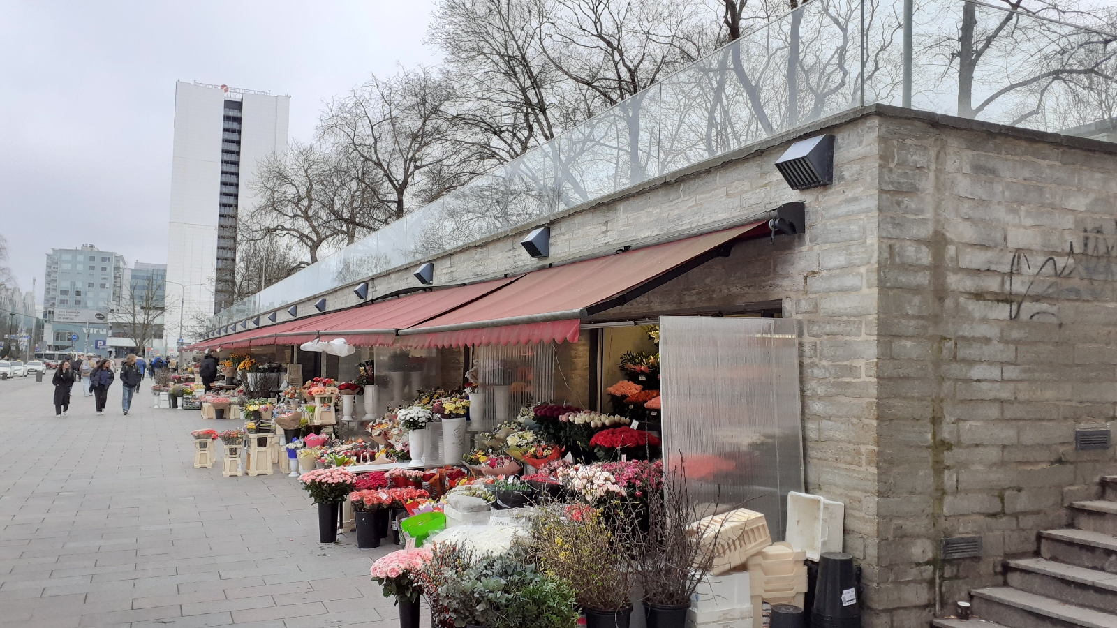 Dagstur med flyg till Tallinn