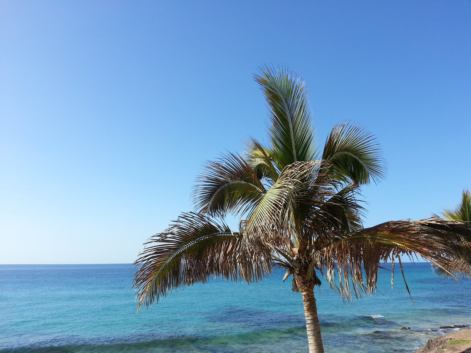 Planerat fler resor utomlands och inrikes