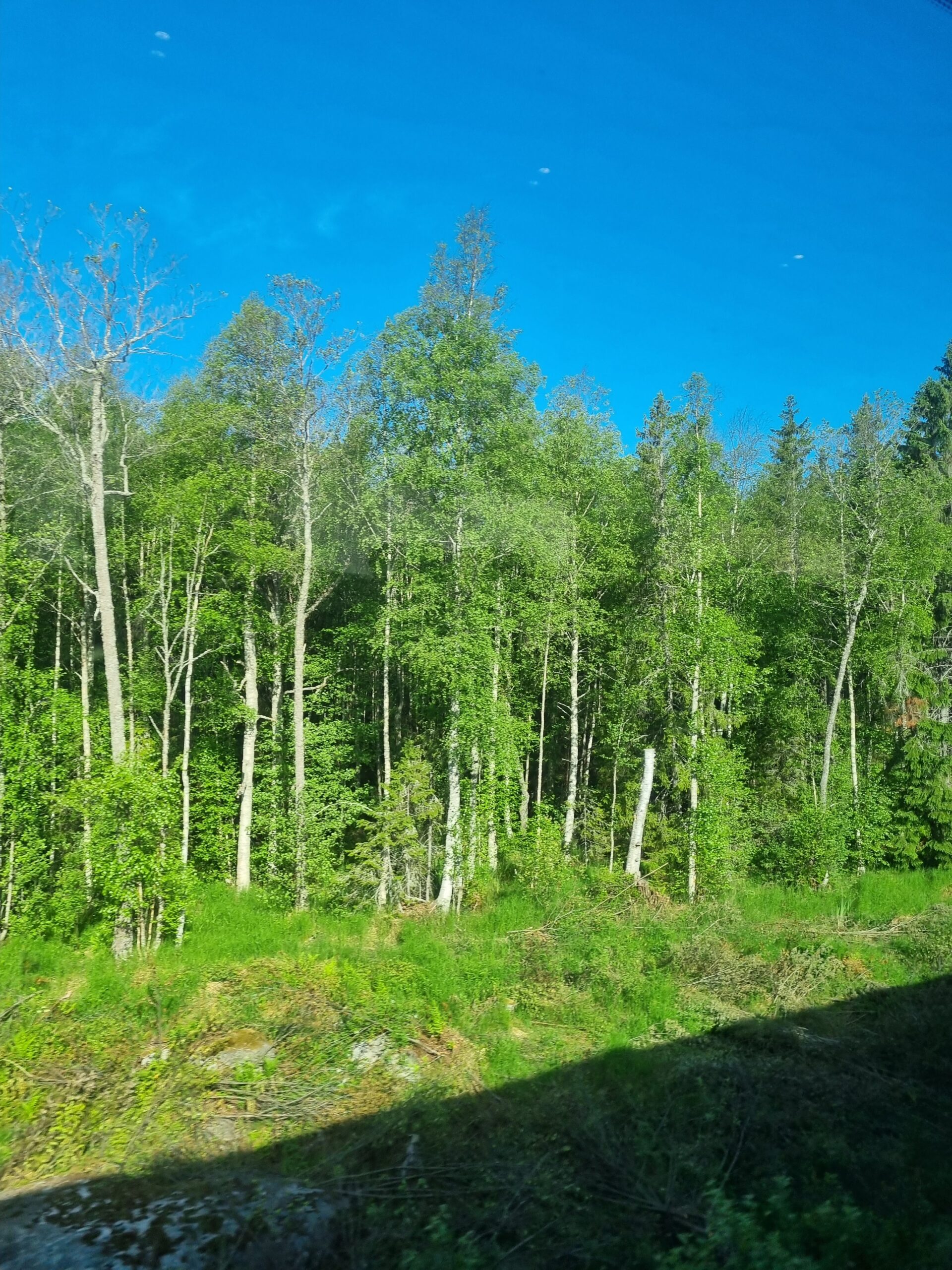 Tåg Norrland tur och retur