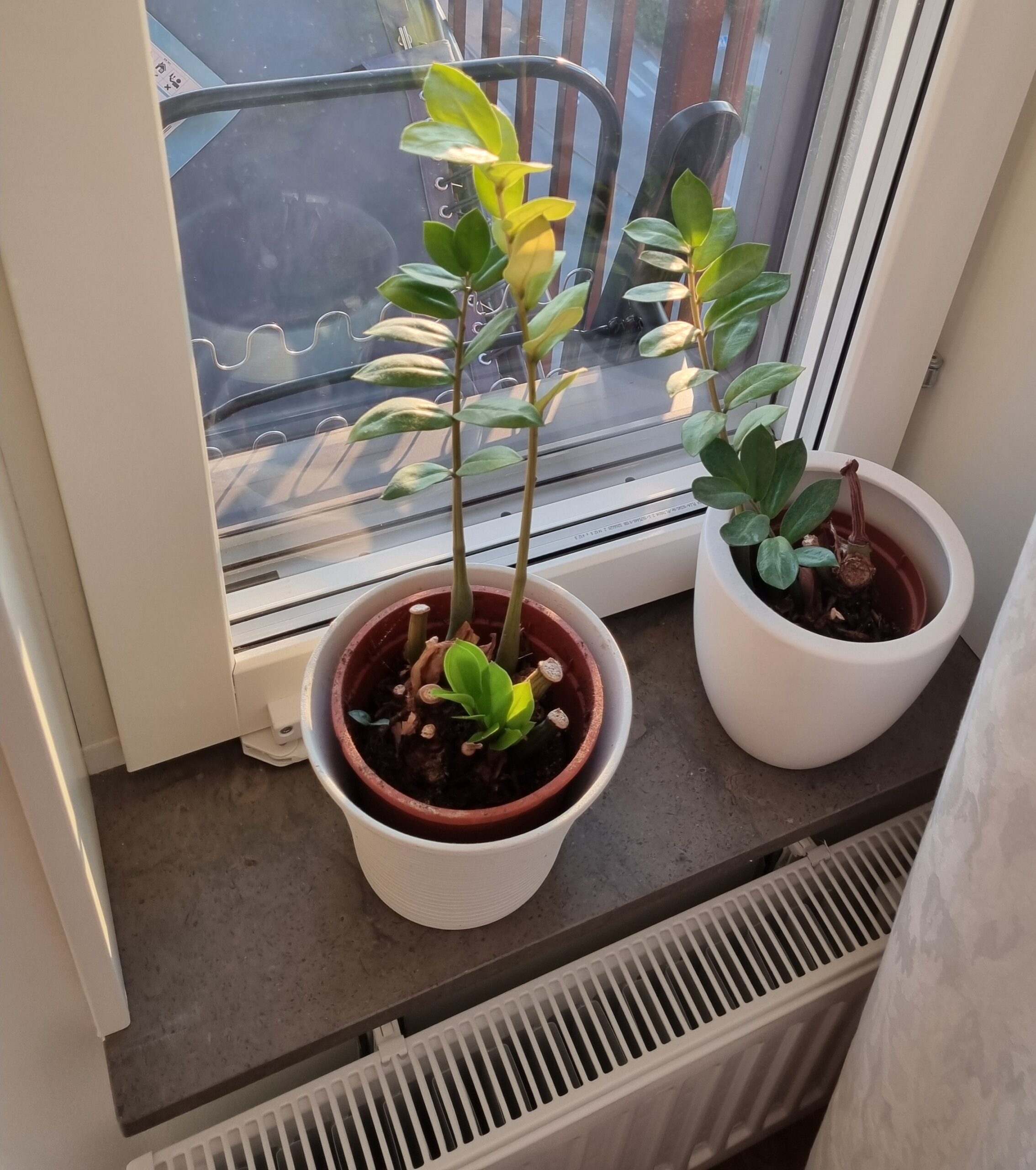 Hemresa från norrland