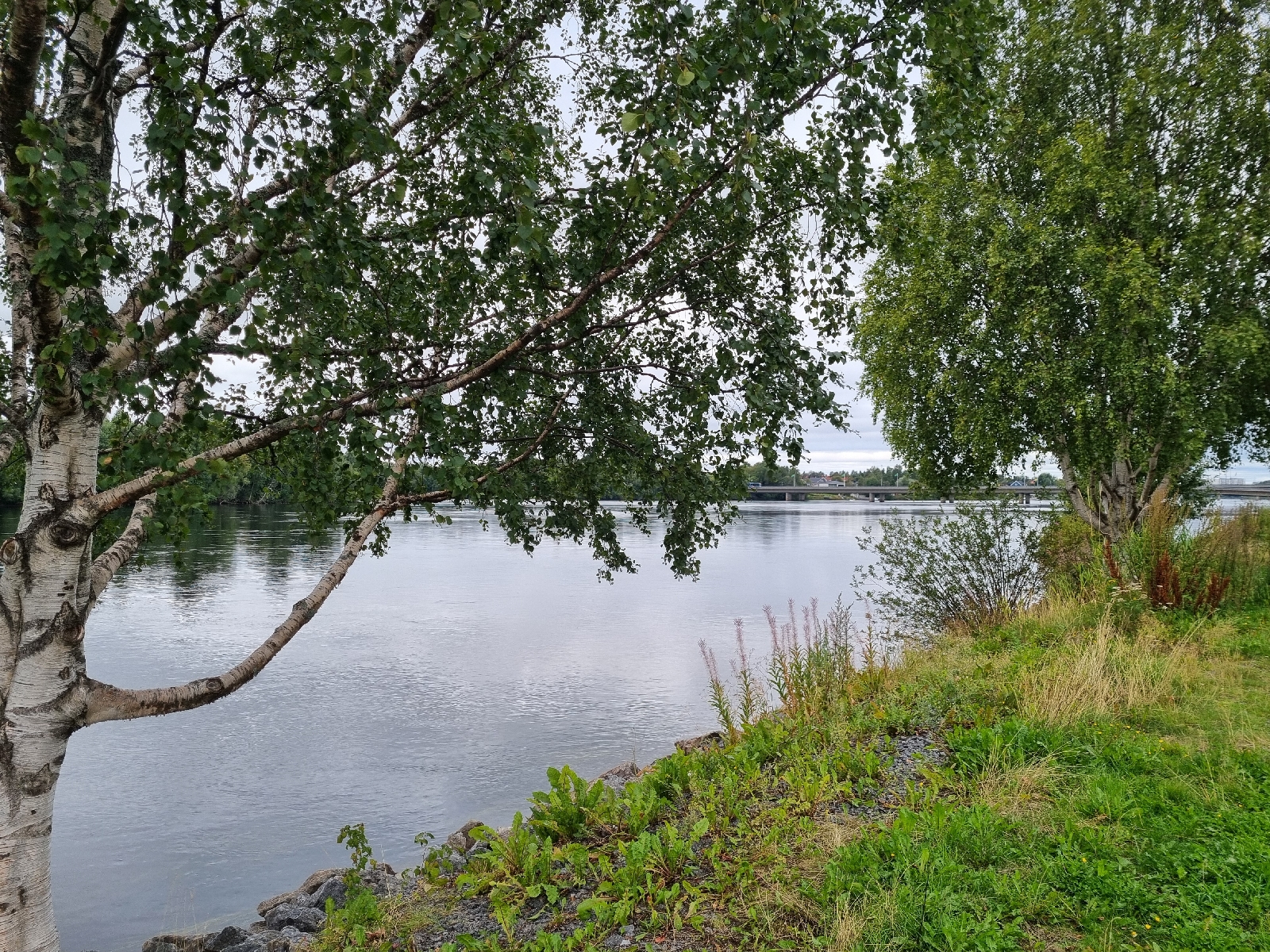 UME över dagen – dagsutflykt