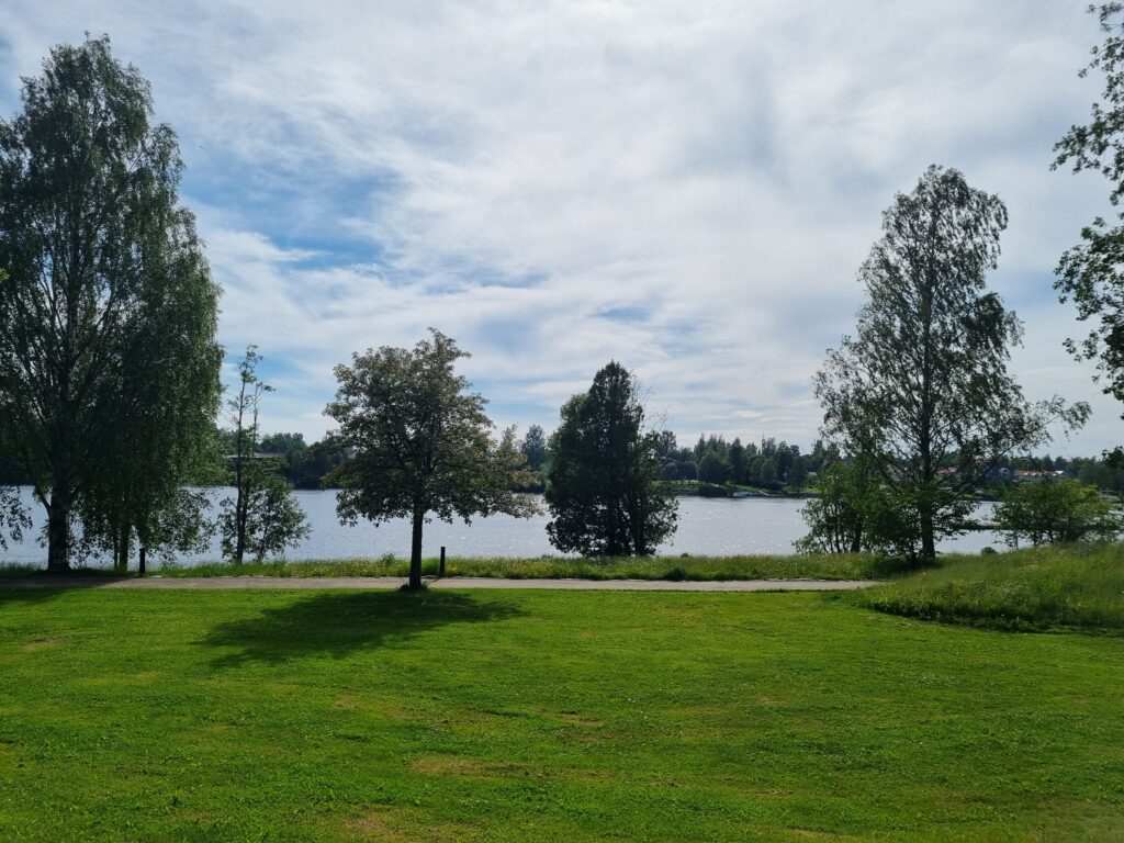 Bild på gräsmatta längsmed Umeälvens strandpromenad i Umeå.